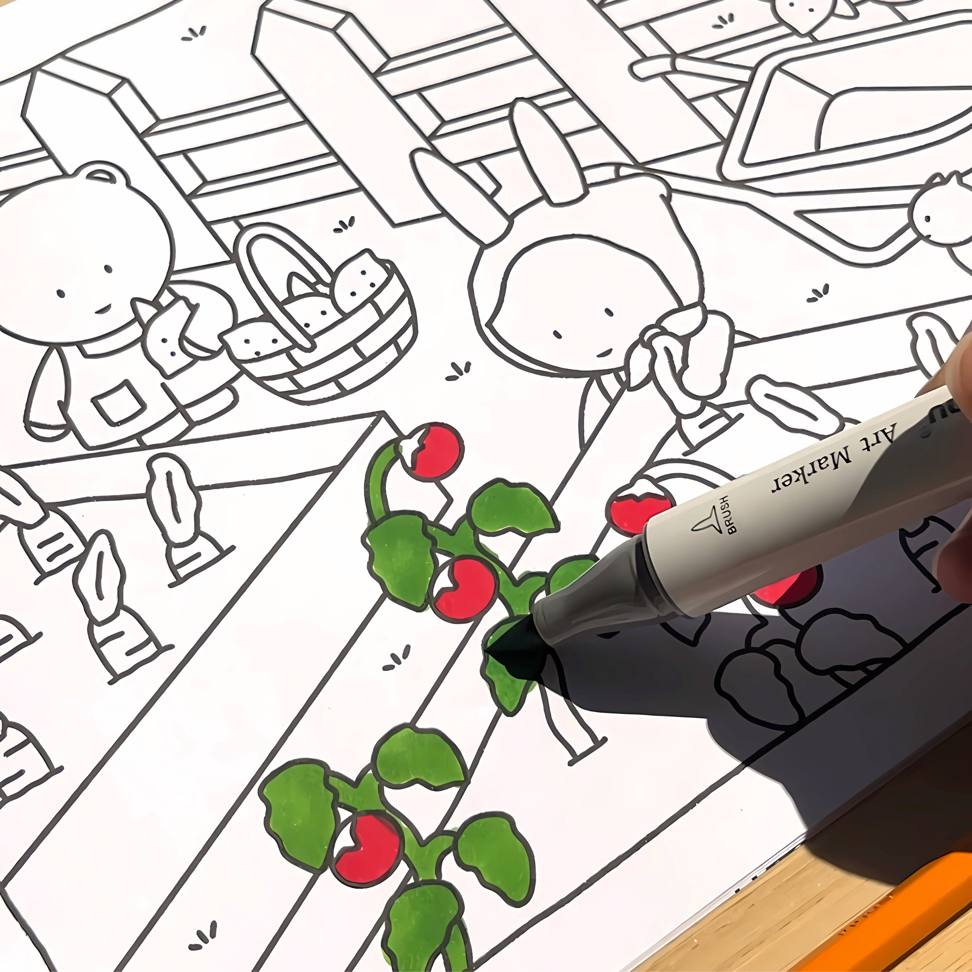 Livre de coloriage – Printemps / été